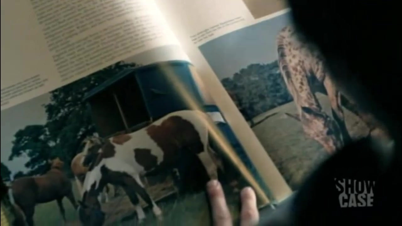 Shattered_S01E12_Stairways_to_Perceptions_1561.jpg Shattered_S01E12_Stairways_to_Perceptions_1561.jpg