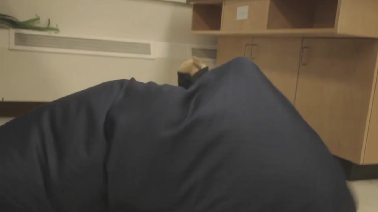 Time_Tremors-_Minisode_2_The_Phobitoptera-HD_391.jpg Time_Tremors-_Minisode_2_The_Phobitoptera-HD_391.jpg