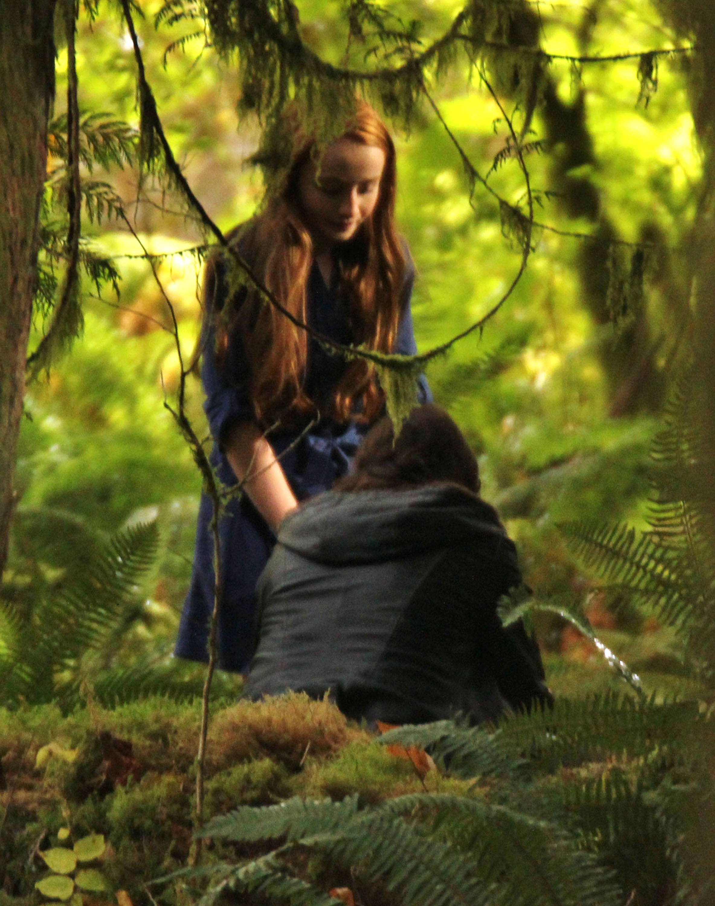 HornsSet_28329.jpg HornsSet_28329.jpg