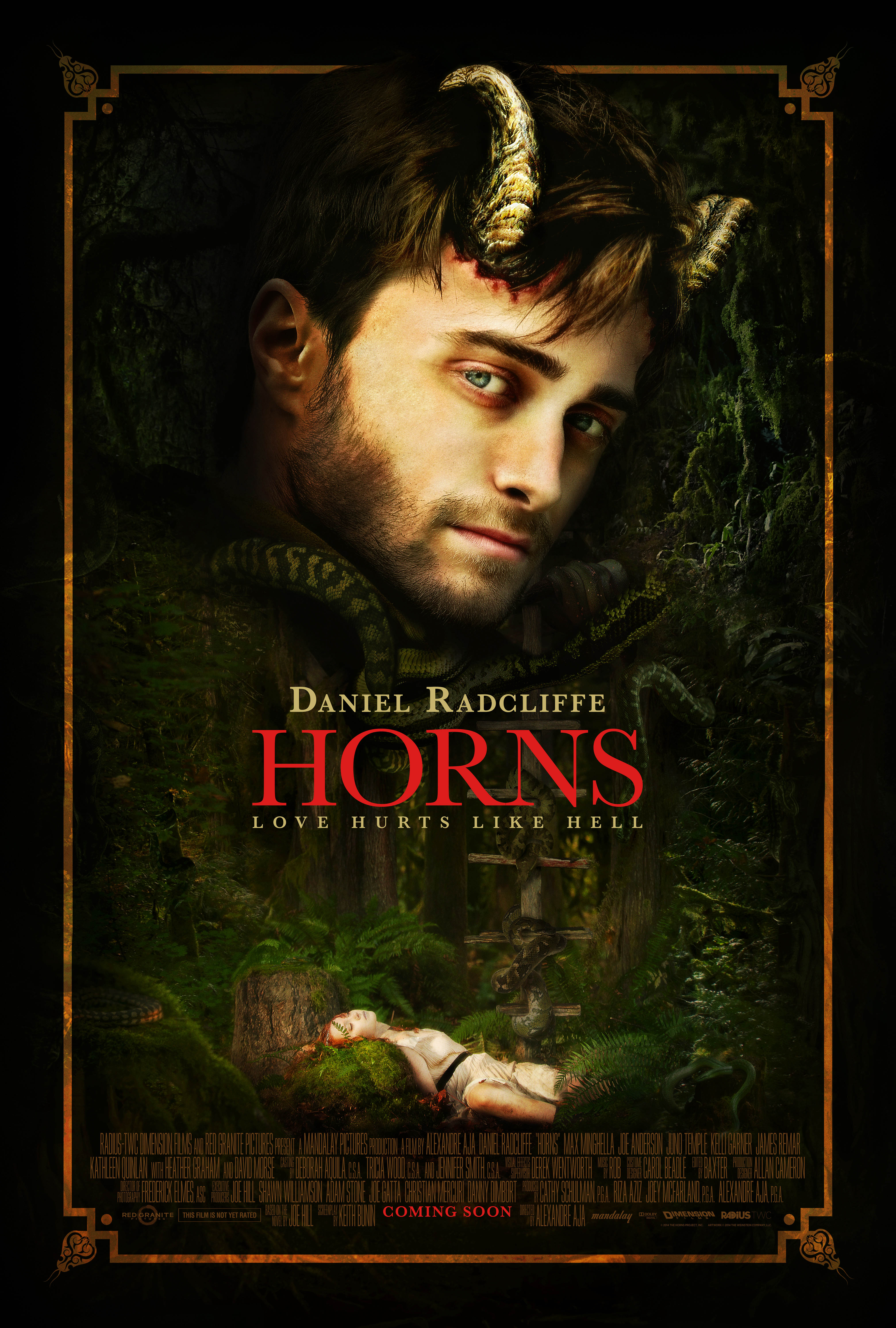 Horns_Poster_28329.jpg
