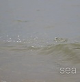 Sea_Legs_Final-HD_006.jpg